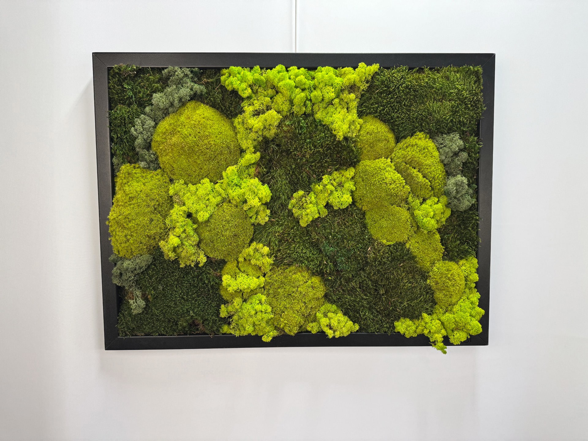 Paintings